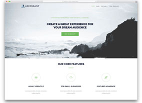 Landing page design